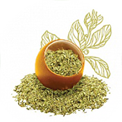 Yerba Mate Leaf Dry Extract